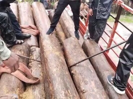 एटापल्लीतील 50 लाखांच्या सागवान तस्करीत मोठे मासे गळाला लागणार