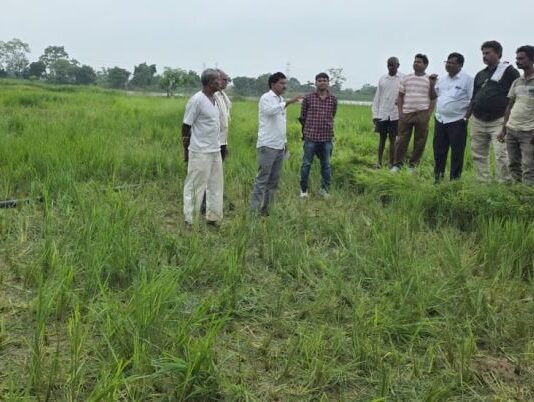 विहीरगावला हत्तींच्या उपद्रवामुळे शेतीचे नुकसान; शेतकरी अडचणीत