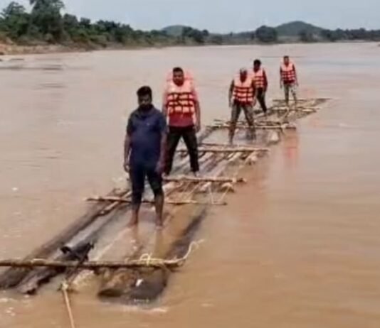इंद्रावती नदीतून छत्तीसगडमध्ये सागवान तस्करीचा प्रयत्न फसला