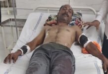 वाघाशी झुंज देत शेतकऱ्याने वाचवले स्वत:सोबत लेकीचे प्राण