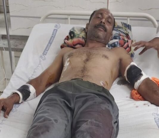 वाघाशी झुंज देत शेतकऱ्याने वाचवले स्वत:सोबत लेकीचे प्राण