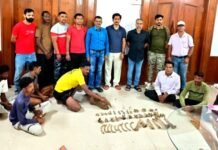 वन्यजीवांच्या तस्करीतील रॅकेटचे धागेदोरे कुठपर्यंत? चौकशी होणार