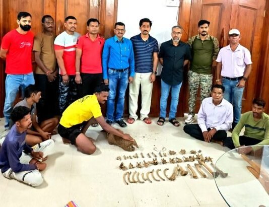वन्यजीवांच्या तस्करीतील रॅकेटचे धागेदोरे कुठपर्यंत? चौकशी होणार
