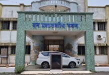 वनविभागात नोकरीचे आमिष देऊन होत आहे बेरोजगारांची फसवणूक