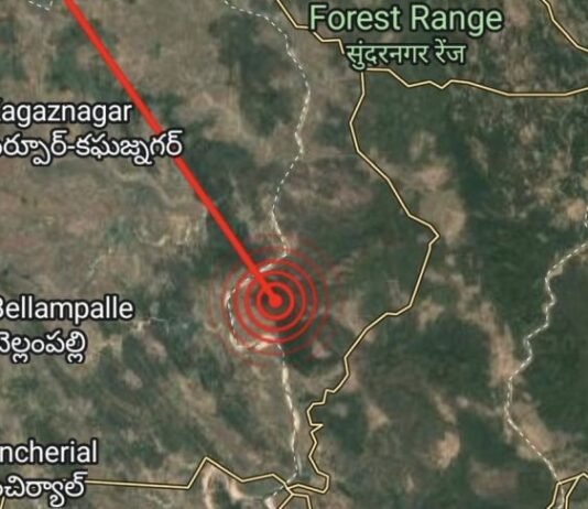 काहींनी अनुभवले भूकंपाचे कंपन; बहुतांश लोक मात्र साखरझोपेतच