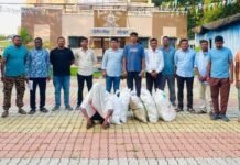 घराच्या परसबागेत फुलवली चक्क गांजाची शेती, पोलिसांचा छापा
