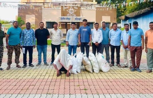 घराच्या परसबागेत फुलवली चक्क गांजाची शेती, पोलिसांचा छापा