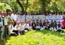 चपराळातील फुलपाखरांच्या रंगीत विश्वात रमले महाविद्यालयीन विद्यार्थी