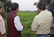रानटी हत्तींनी केली चुरमुरा-पोर्ला भागात धान पिकांची नासाडी