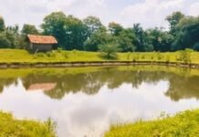 जलयुक्त शिवार अभियानातील 161 गावे झाली जलपरिपूर्ण
