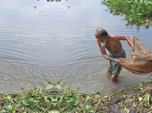‘मत्स्य दुष्काळ’ जाहीर करून मच्छीमार बांधवांना आर्थिक मदत द्या