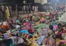 चामोर्शीत शेतकऱ्यांचा महामार्गावरच मुक्काम, रस्त्यावर पंगती अन् विश्रांती