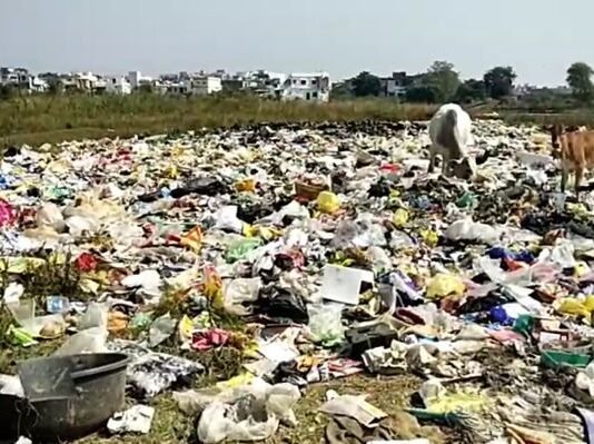 नवेगावातील अनधिकृत कचरा डेपोची उच्च न्यायालयाकडून दखल