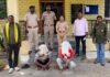 गडचिरोली वनपरिक्षेत्रात चितळाची शिकार करणाऱ्या 9 जणांना अटक