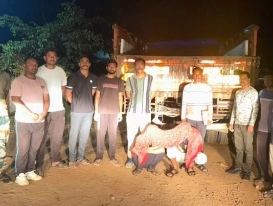 आरमोरी-चामोर्शीत गोवंशांसह दारू वाहतुकीचे वाहन पकडले