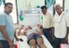 दुचाकीवरून जाणाऱ्या मायलेकावर चितळाची झडप; रस्त्यावर पडले