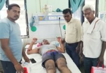 दुचाकीवरून जाणाऱ्या मायलेकावर चितळाची झडप; रस्त्यावर पडले