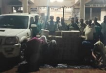 एटापल्ली पोलिसांनी पकडली दोन स्कॅार्पिओतून आलेली देशी दारू